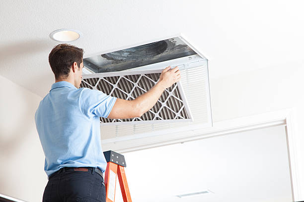 Best Air Quality Test  in Maineville, OH
